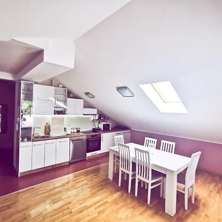 Japanski Vrt, Centar