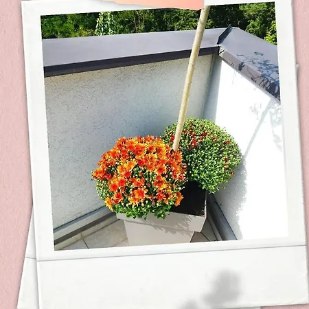 Japanski Vrt, Centar Lejlighed Vrnjačka Banja