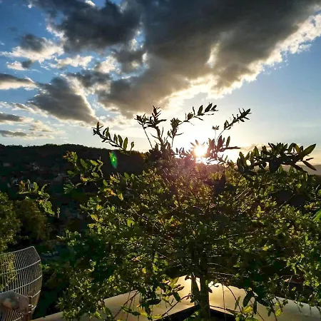 Apartman Japanski Vrt, Centar