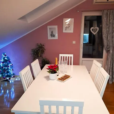 Apartman Japanski Vrt, Centar