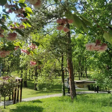 Japanski Vrt, Centar