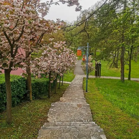 Japanski Vrt, Centar Lejlighed