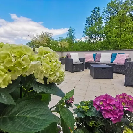 Japanski Vrt, Centar Врнячка-Баня