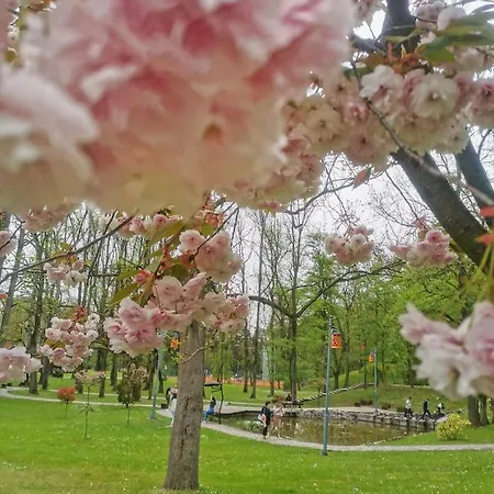 Japanski Vrt, Centar Lejlighed