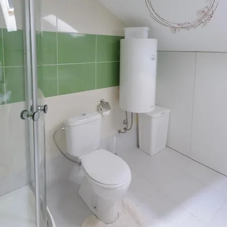 Japanski Vrt, Centar *