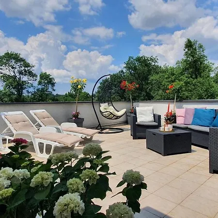 Japanski Vrt, Centar