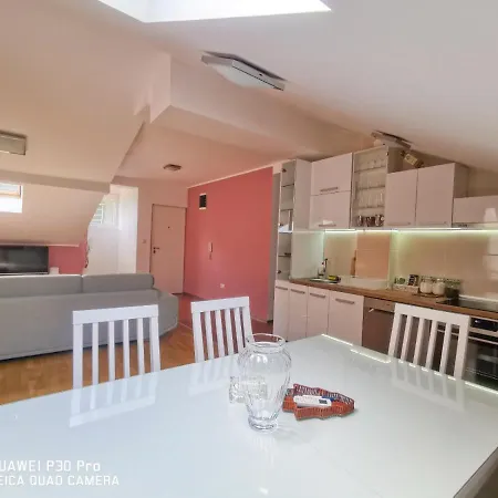 Japanski Vrt, Centar *