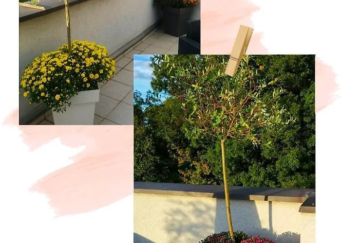 Japanski Vrt, Centar شقة Vrnjačka Banja