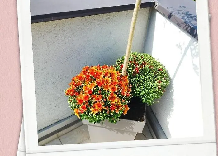 Japanski Vrt, Centar 公寓 Vrnjačka Banja