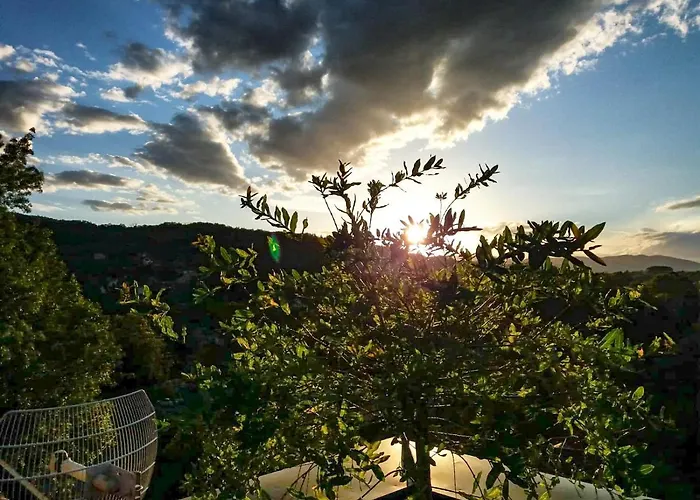 公寓 Japanski Vrt, Centar