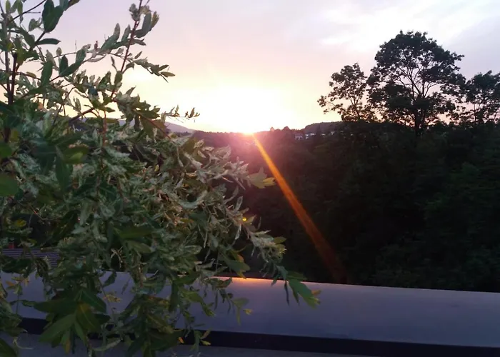 Japanski Vrt, Centar * Vrnjačka Banja