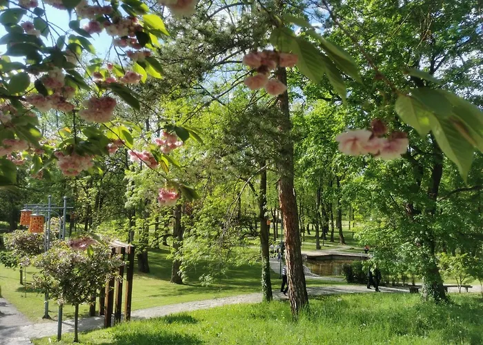 Japanski Vrt, Centar