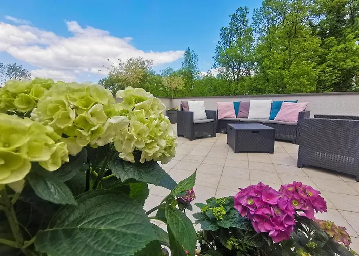 Japanski Vrt, Centar Vrnjačka Banja