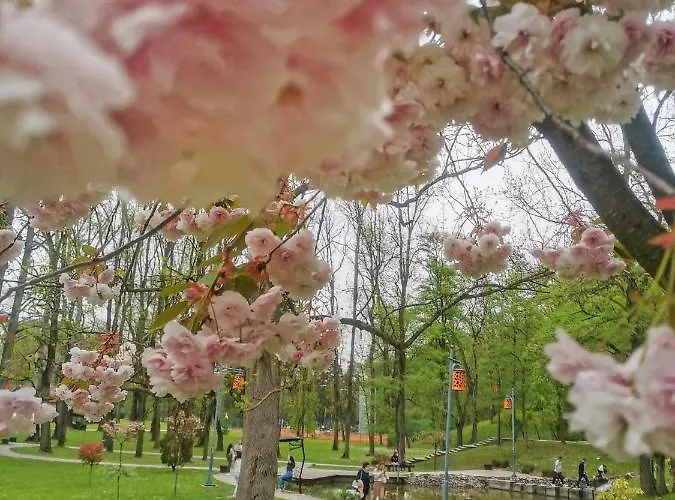 Japanski Vrt, Centar شقة