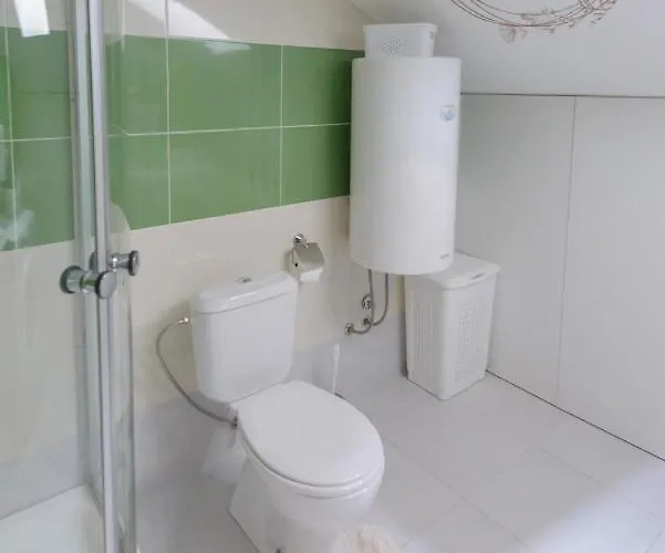 Japanski Vrt, Centar *