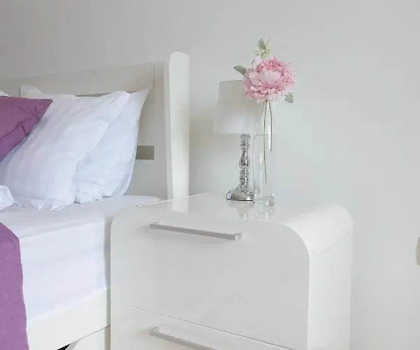 Japanski Vrt, Centar Vrnjačka Banja