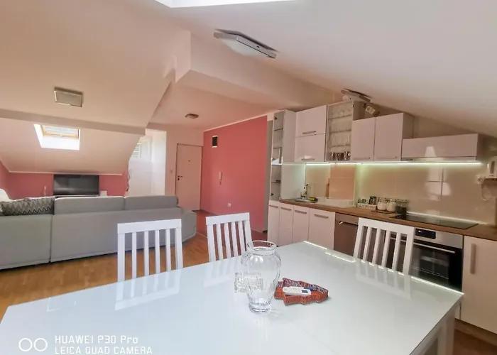 Japanski Vrt, Centar *